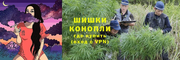 молекула духа Зеленокумск