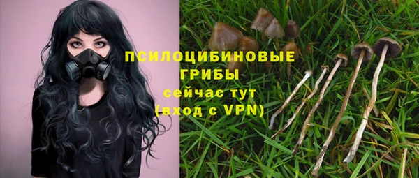 молекула духа Зеленокумск