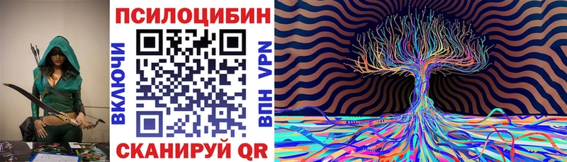 Псилоцибиновые грибы Cubensis  купить   Кадников 